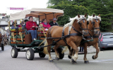 Fête du Cheval 2017_08