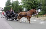 Fête du Cheval 2017_09