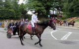 Fête du Cheval 2017_20