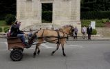 Fête du Cheval 2017_21