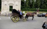 Fête du Cheval 2017_22