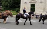 Fête du Cheval 2017_25