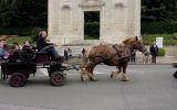 Fête du Cheval 2017_26