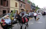 Fête du Cheval 2017_29