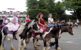 Fête du Cheval 2017_36