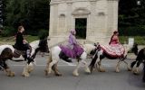 Fête du Cheval 2017_37