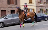 Fête du Cheval 2017_40