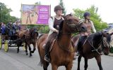 Fête du Cheval 2017_47