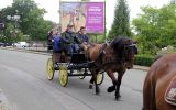 Fête du Cheval 2017_48