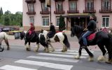 Fête du Cheval 2017_63