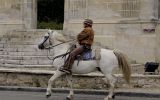 Fête du Cheval 2017_64