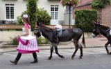 Fêtes du cheval 2018_01