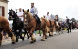 Fêtes du cheval 2018_08