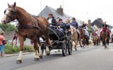 Fêtes du cheval 2018_11