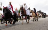 Fêtes du cheval 2018_14