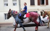 Fêtes du cheval 2018_17