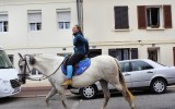 Fêtes du cheval 2018_20