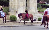Fêtes du cheval 2018_25