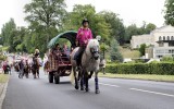Fêtes du cheval 2018_28