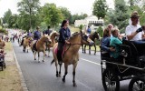 Fêtes du cheval 2018_35