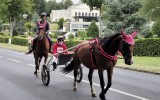 Fêtes du cheval 2018_42