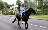 Fêtes du cheval 2018_44