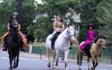 Fete-de-cheval-2022_04