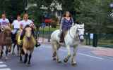 Fete-de-cheval-2022_11