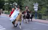 Fete-de-cheval-2022_22