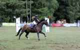 Fete-de-cheval-2022_24