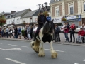 Fete du cheval 2015.12