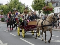 Fete du cheval 2015.13