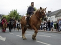 Fete du cheval 2015.18