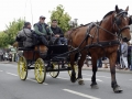 Fete du cheval 2015.20