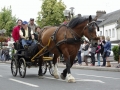 Fete du cheval 2015.22