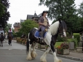 Fete du cheval 2015.34