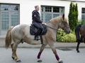 Fete du cheval 2015.39