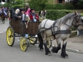 Fete du cheval 2015.41