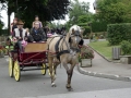 Fete du cheval 2015.43