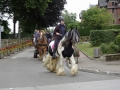 Fete du cheval 2015.45