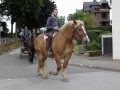 Fete du cheval 2015.47