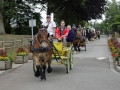 Fete du cheval 2015.48