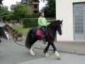 Fete du cheval 2015.49