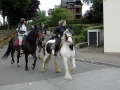 Fete du cheval 2015.50