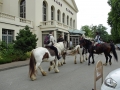 Fete du cheval 2015.51