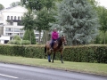 Fete du cheval 2015.53