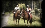 fete-medievale28