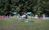 Fetes-du-cheval-2023_22