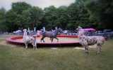 Fetes-du-cheval-2023_25