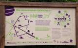 Foret-monumentale-01